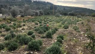 5774 Sqm | Land For Sale In South , Bablieh | Panoramic Mountain View