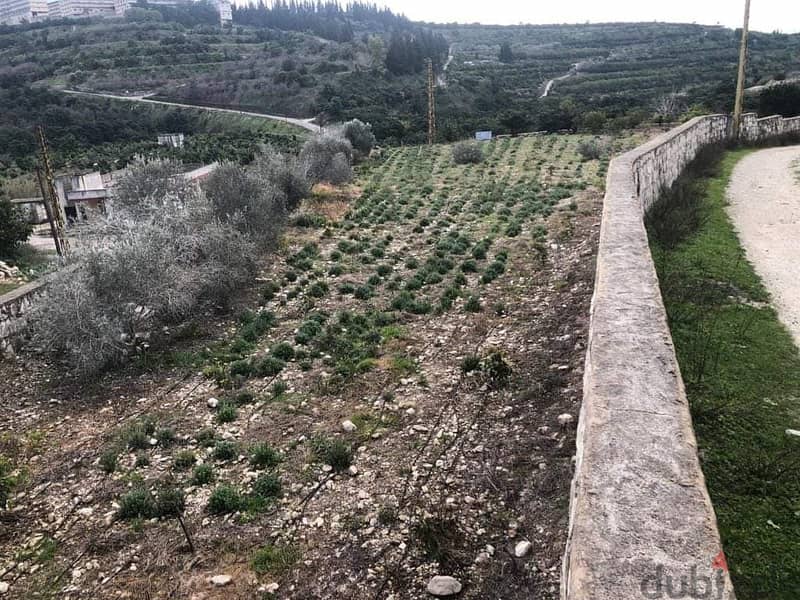 5774 Sqm | Land For Sale In South , Bablieh | Panoramic Mountain View 1