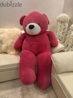 Pink bear