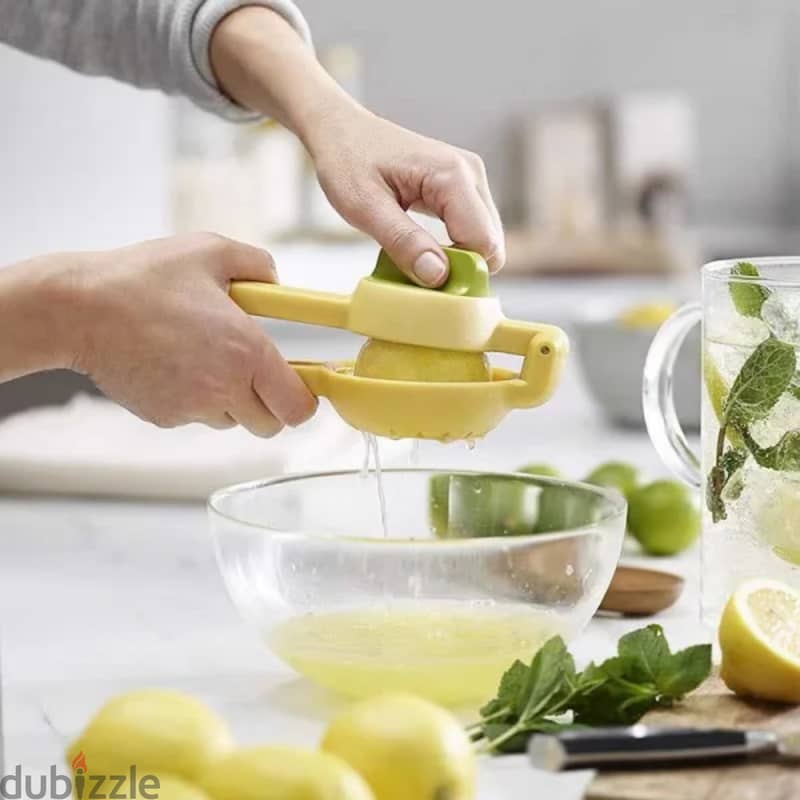 Double Action Citrus Juicer 1