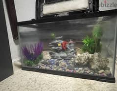 fish tank