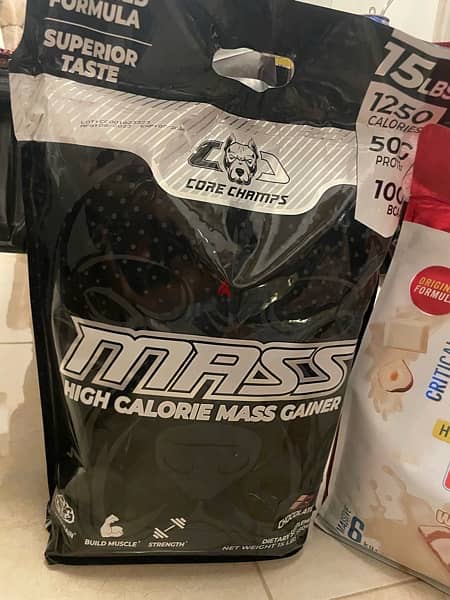 core champs mass gainer 15lbs 1250 calories 50g protein 10g bcaa 2