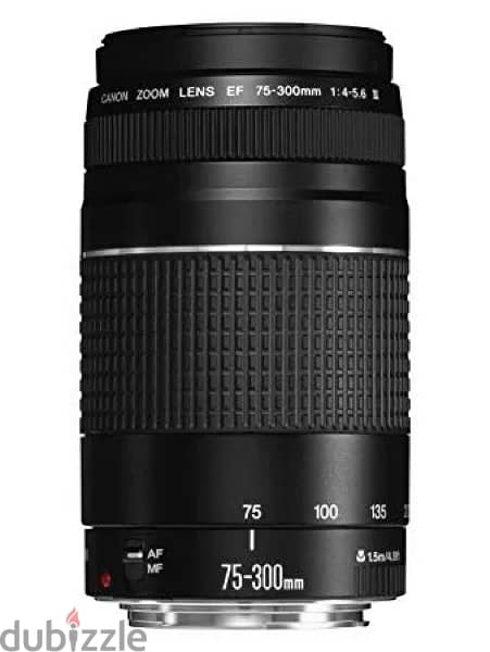 canon lens ef 75-300 0