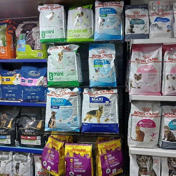 what a pets need for a better life 14