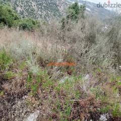 Land For sale In Hboub - Jbeilارض للبيع في حبوب جبيل  CPJRK205 0