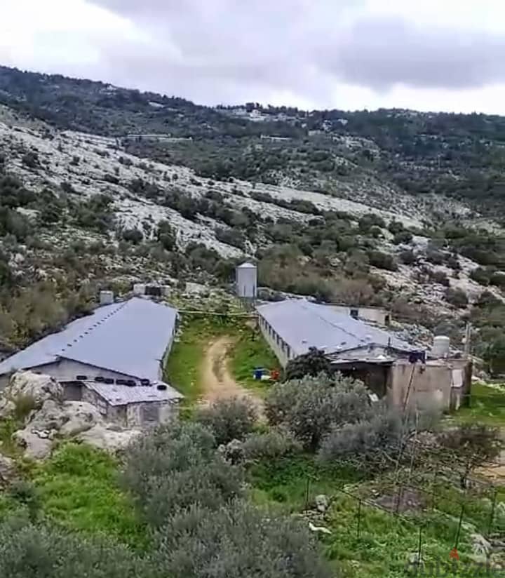 RWB102PK - Farm for sale in Koura with private land,two private houses 3