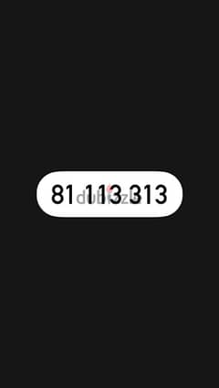 81 113 313 0