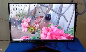 lg monitor gaming