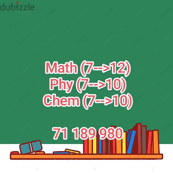 Math Physics Chemistry Private Teacher 0