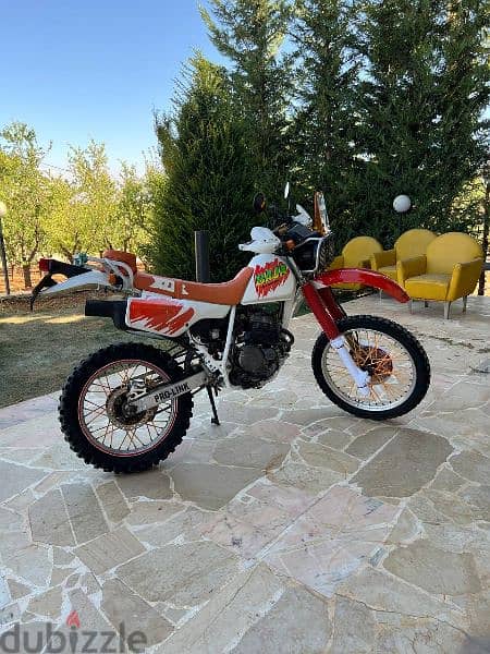 BAJA 250 CC 9