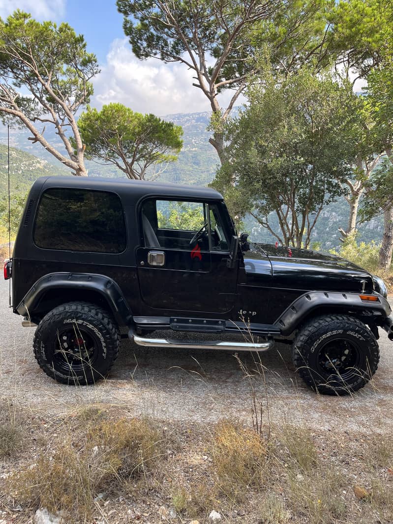 Jeep Wrangler 1988 YJ 3