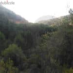 Introducing this wonderful land 5500 sqm in Aley/عاليه REF#MA108504 7