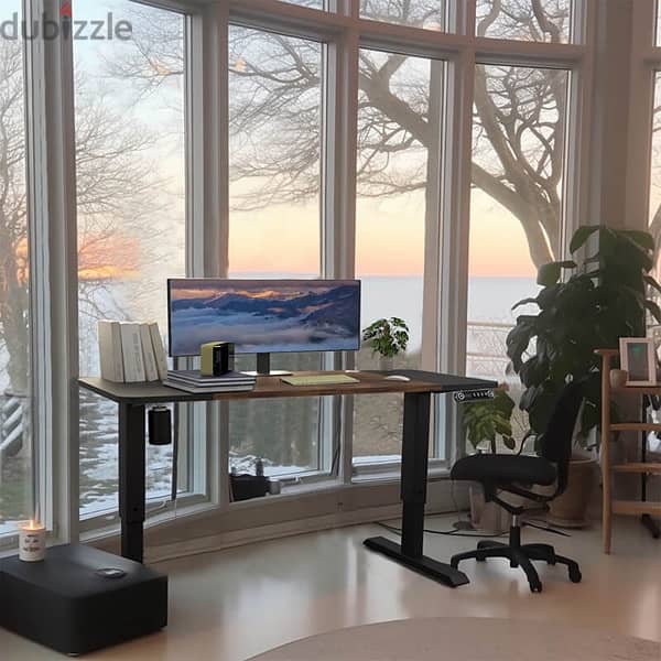 Adjustable Standing Desk طاولة مكتب 1