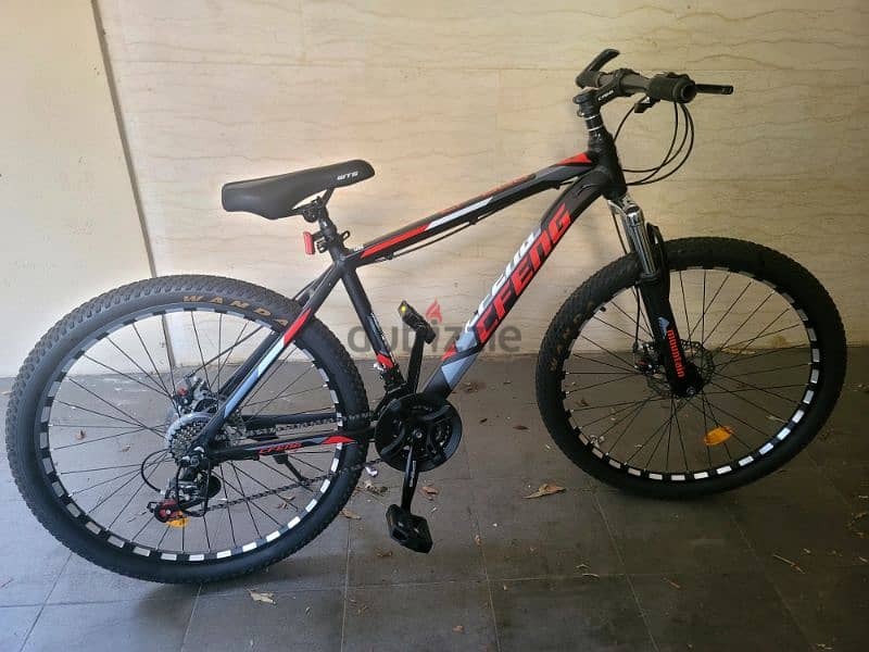 Bicycle Vitesse CFENG 0