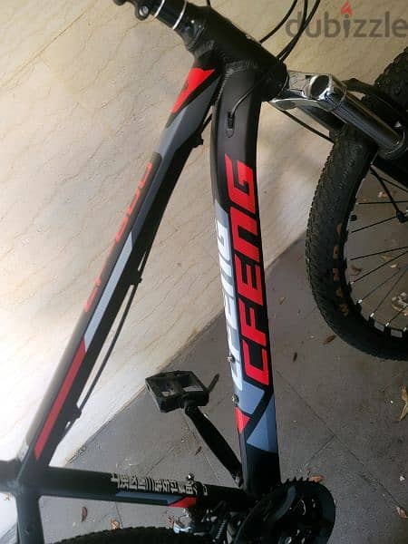 Bicycle Vitesse CFENG 2