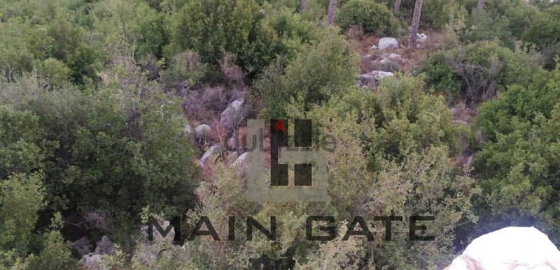 Land for Sale in Jal el Dib أرض للبيع في جل الديب 0