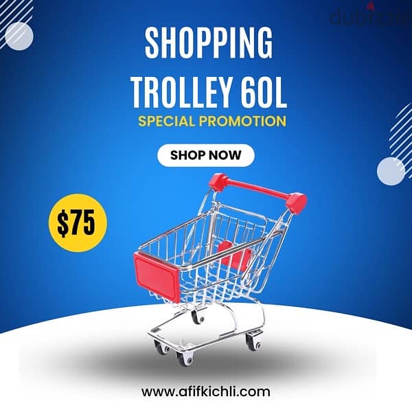 Trolleys, Baskets & Shelves for Supermarket , Pharmacy, Stores etc. . 2