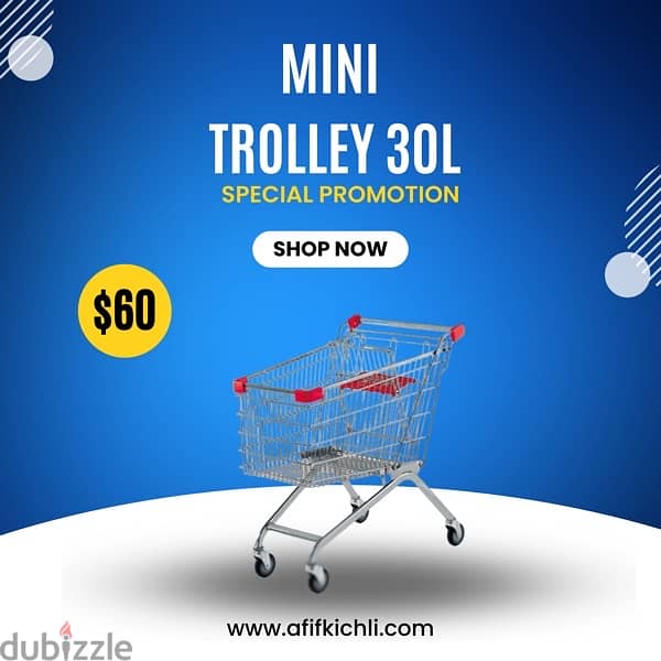 Trolleys, Baskets & Shelves for Supermarket, Pharmacy & Stores 9