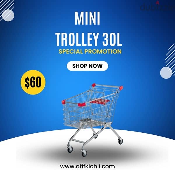 Trolleys, Baskets & Shelves for Supermarket, Stores, Pharmacy etc. . 8