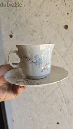 Tea cups & saucers فناجين شاي