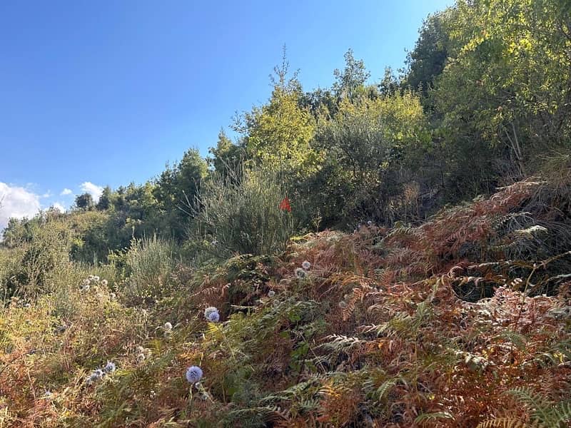 land for sale in Qartaba Jbeil 1