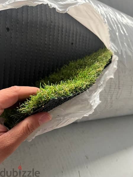 Grass 3.5cm made in Holland كازون ٣. ٥سم هولندي 1