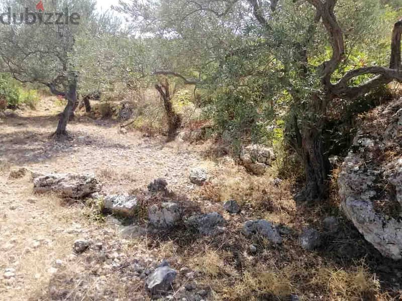 Land For Sale In Monsef | Calm Area | أرض للبيع | PLS 26120 10