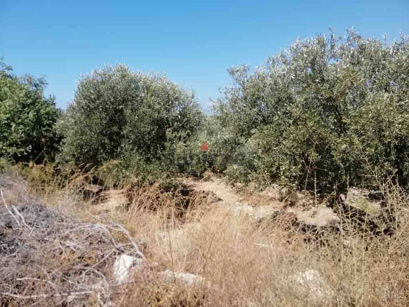 Land For Sale In Monsef | Calm Area | أرض للبيع | PLS 26120 19