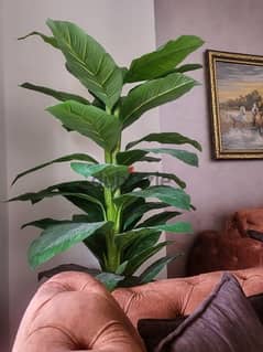 Fake tree or plant for decoration 0