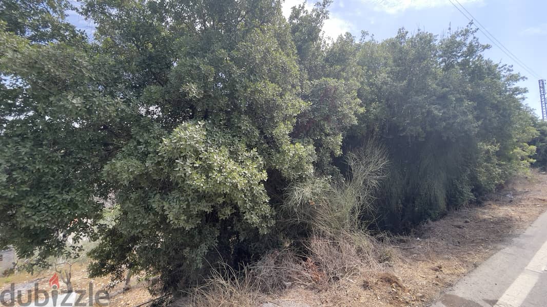 RWB168CA - Land for sale in Maad Jbeil 5