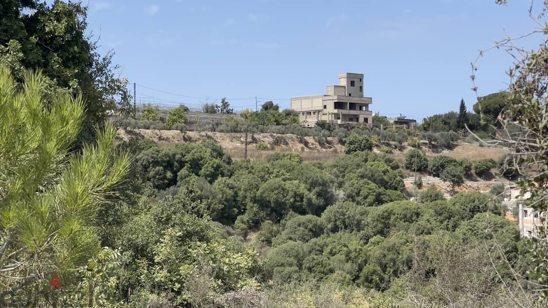 RWB168CA - Land for sale in Maad Jbeil 7