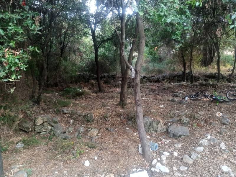 RWB104PK -  Two lands for sale in Amchit Jbeil 0