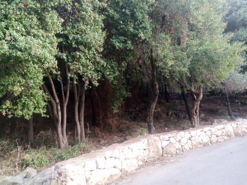 RWB104PK -  Two lands for sale in Amchit Jbeil 1