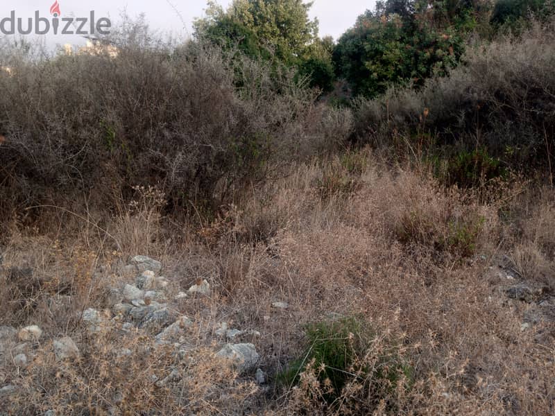 RWB104PK -  Two lands for sale in Amchit Jbeil 4