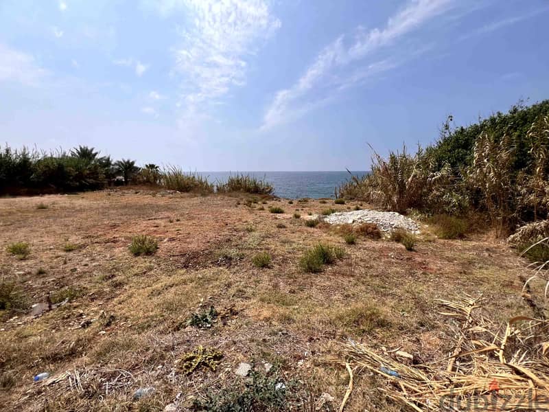 Land For Sale In Amchit | Sea Level | أرض للبيع | PLS 26122 1