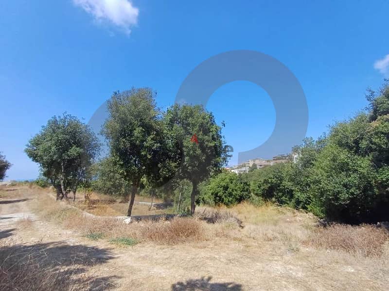 prime location, Batroun, Hamat/ بترون، حامات REF#JY112577 3