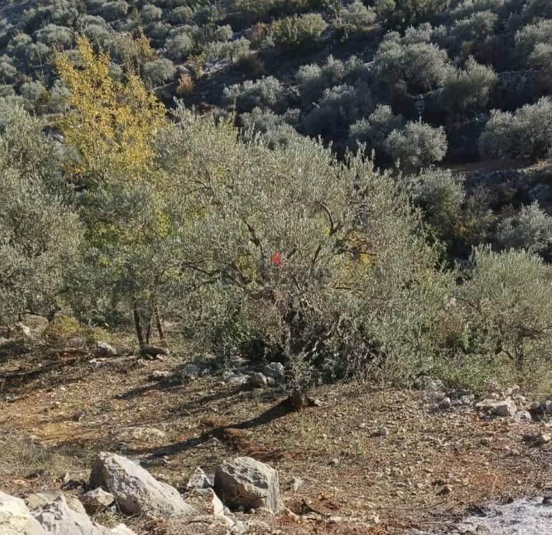 5600 Sqm | Land For Sale In Hasbaya | Panoramic Mountain View 0