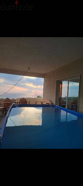 Home Pool 2