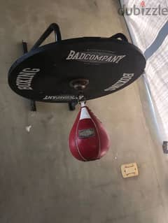 boxing speed bag 50$