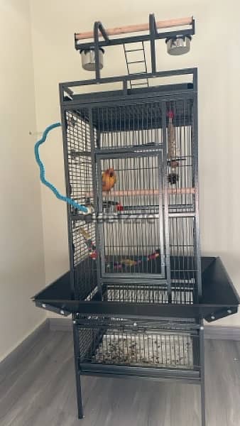 bird cage for parrot قفص عصافير للببغاء 1