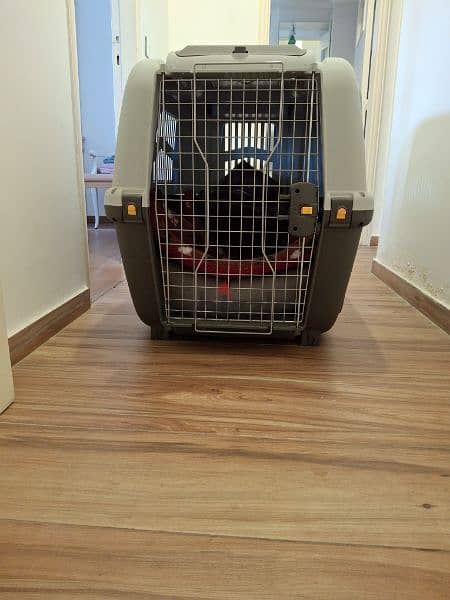 XL Dog Crate 2