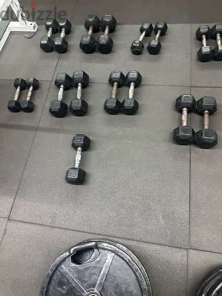 Olympic Plates + Dumbells + stand 2