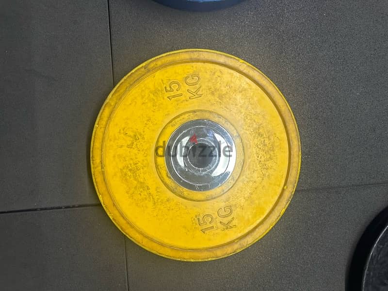 Olympic Plates + Dumbells + stand 5