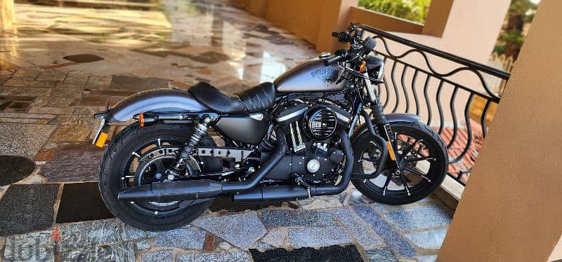 Iron 883 Harley Davidson 1