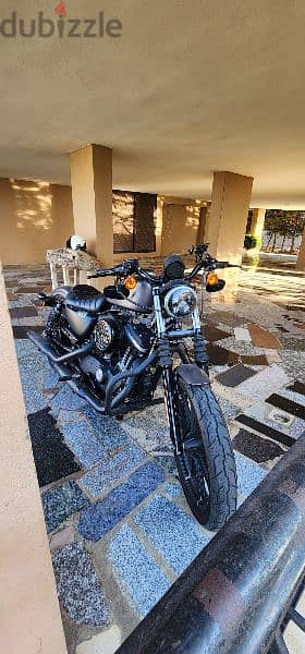 Iron 883 Harley Davidson 2