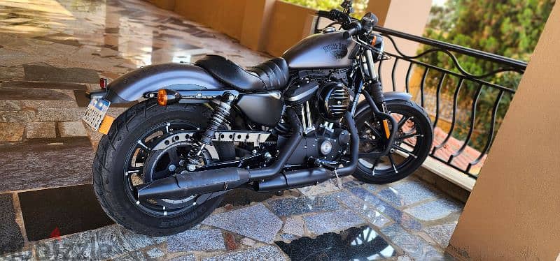 Iron 883 Harley Davidson 3