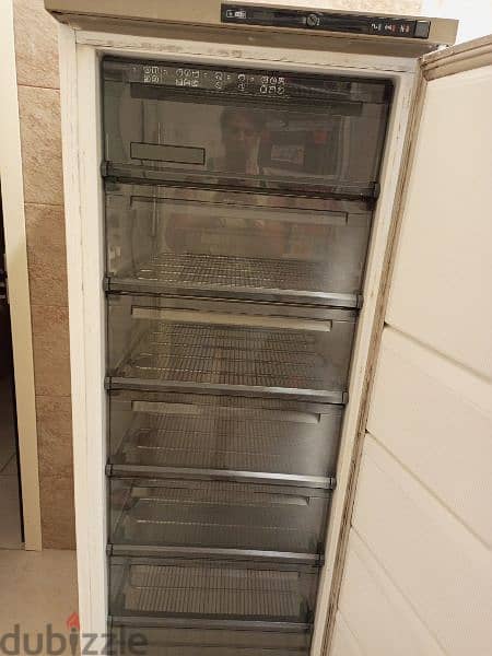 Dishwasher and Freezer 3