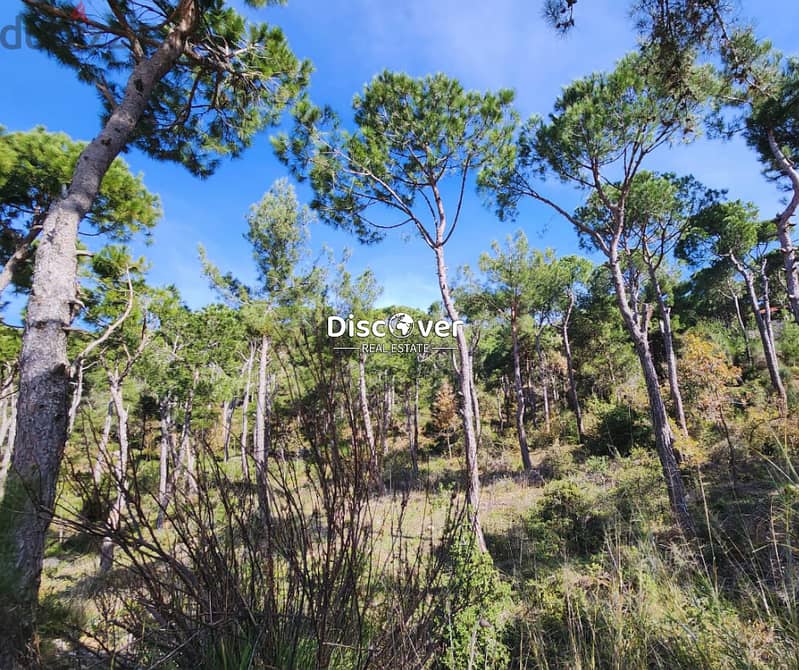 1,890sqm | Land for sale in Chalimar ( Shalimar ) - Baabdat 0