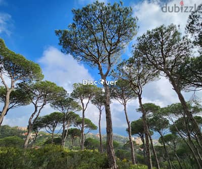 Stunning land for sale in Dahr el sawan | shalimar