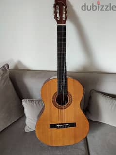 acoustic guitar